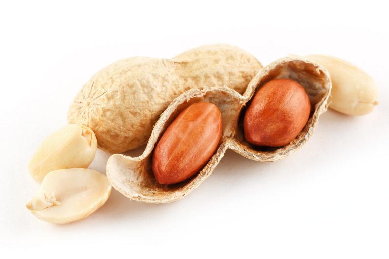 Peanut-allergy therapy ‘protection not a cure’