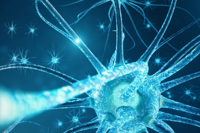 Bionic neurons could enable implants to restore failing brain circuits