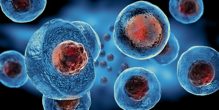 The risks behind the hype of stem-cell treatments